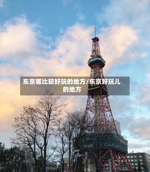 东京哪比较好玩的地方/东京好玩儿的地方