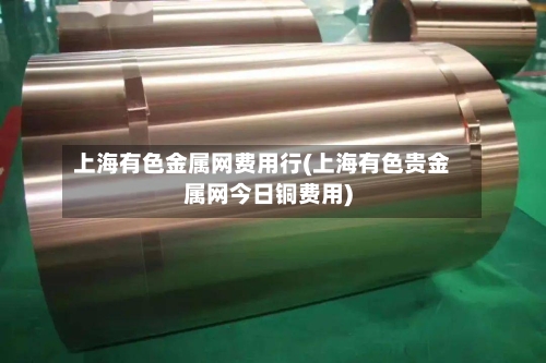 上海有色金属网费用行(上海有色贵金属网今日铜费用)-第3张图片
