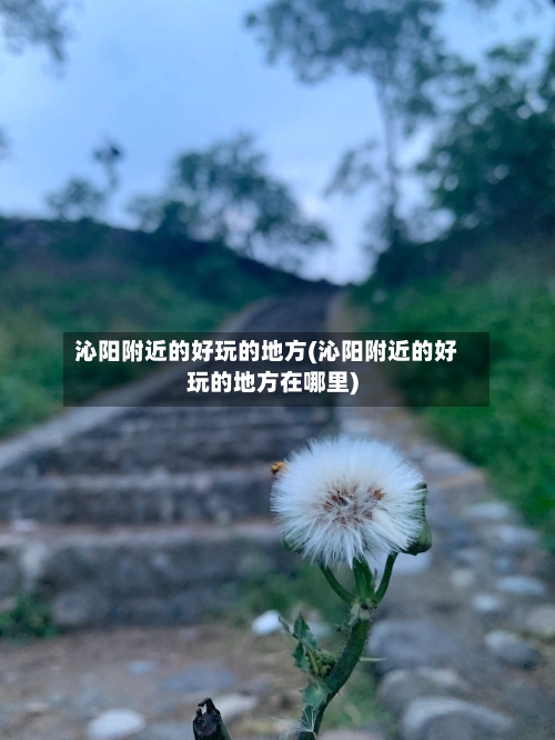 沁阳附近的好玩的地方(沁阳附近的好玩的地方在哪里)