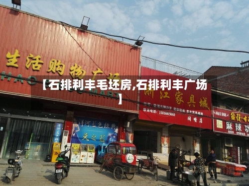 【石排利丰毛坯房,石排利丰广场】-第2张图片