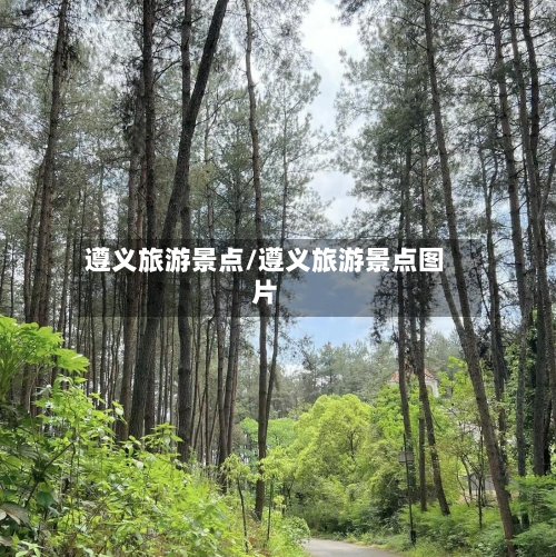 遵义旅游景点/遵义旅游景点图片-第2张图片