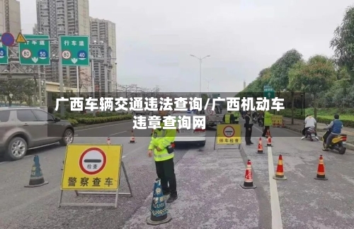广西车辆交通违法查询/广西机动车违章查询网-第3张图片