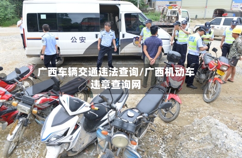 广西车辆交通违法查询/广西机动车违章查询网-第2张图片