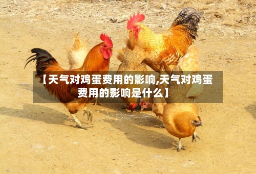 【天气对鸡蛋费用的影响,天气对鸡蛋费用的影响是什么】-第2张图片