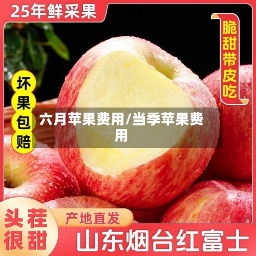 六月苹果费用/当季苹果费用