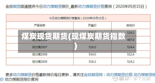 煤炭现货期货(现煤炭期货指数)-第2张图片