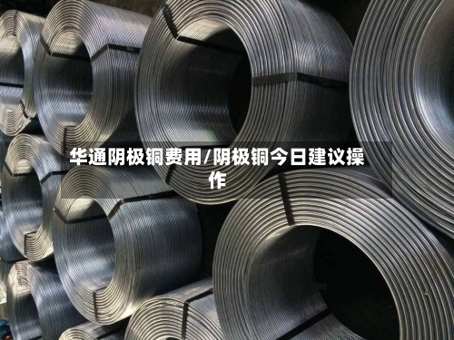 华通阴极铜费用/阴极铜今日建议操作