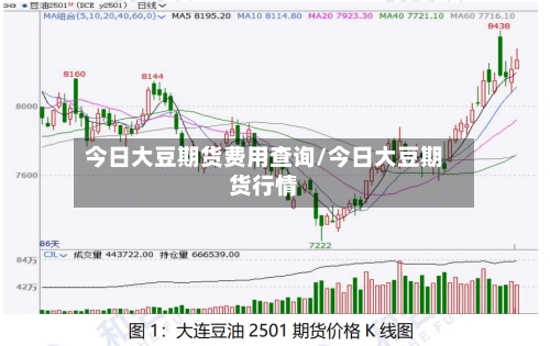 今日大豆期货费用查询/今日大豆期货行情-第3张图片