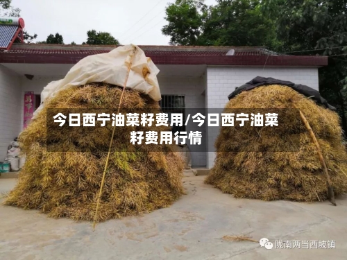 今日西宁油菜籽费用/今日西宁油菜籽费用行情-第2张图片