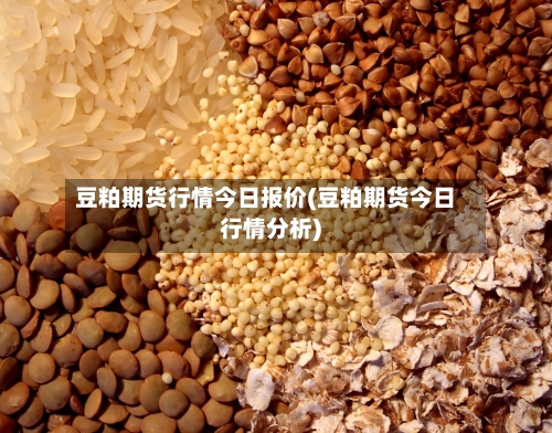 豆粕期货行情今日报价(豆粕期货今日行情分析)-第2张图片