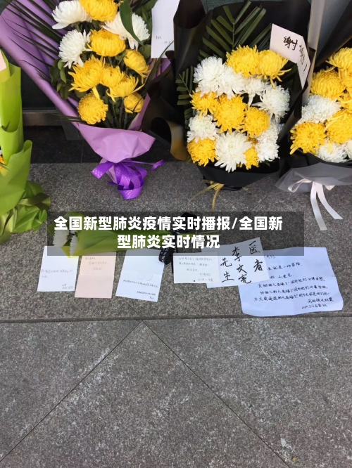 全国新型肺炎疫情实时播报/全国新型肺炎实时情况-第3张图片
