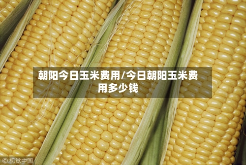 朝阳今日玉米费用/今日朝阳玉米费用多少钱