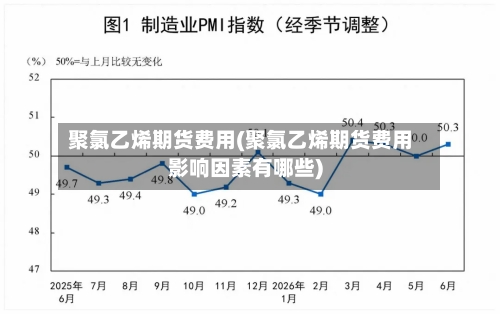 聚氯乙烯期货费用(聚氯乙烯期货费用影响因素有哪些)