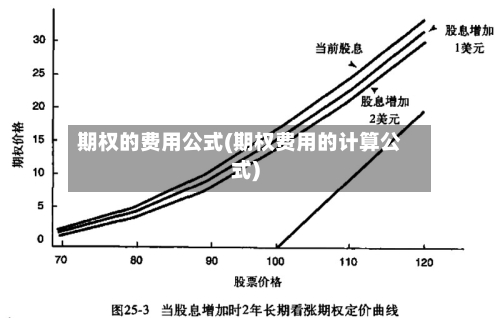 期权的费用公式(期权费用的计算公式)-第2张图片