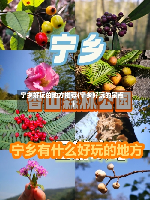 宁乡好玩的地方推荐(宁乡好玩的景点)-第2张图片