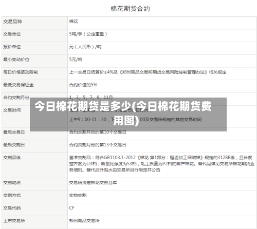 今日棉花期货是多少(今日棉花期货费用图)-第2张图片