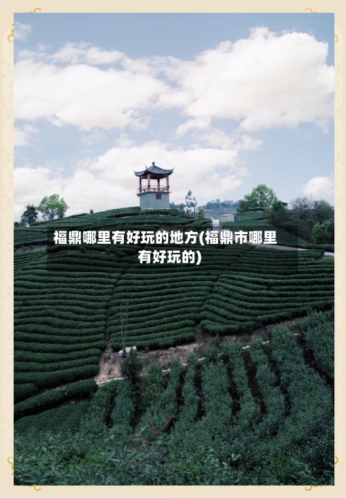 福鼎哪里有好玩的地方(福鼎市哪里有好玩的)-第2张图片