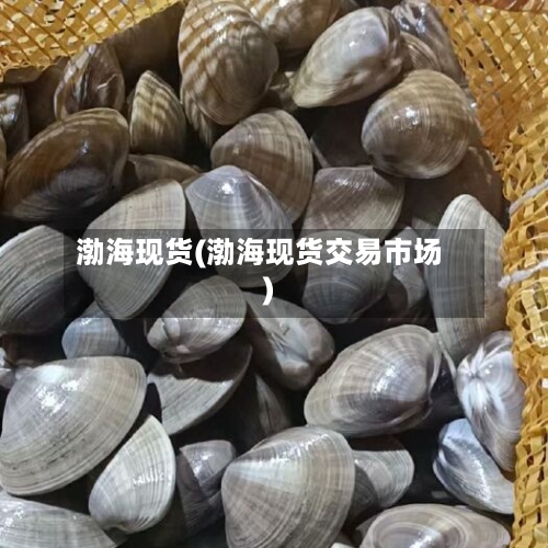 渤海现货(渤海现货交易市场)
