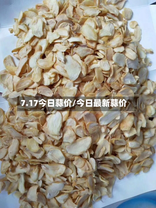 7.17今日蒜价/今日最新蒜价