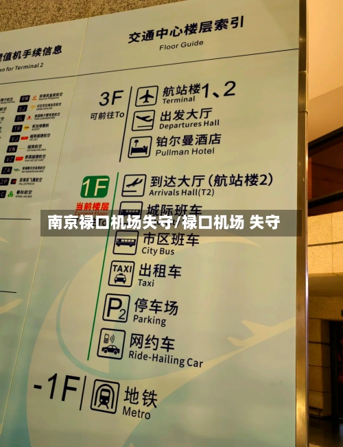 南京禄口机场失守/禄口机场 失守