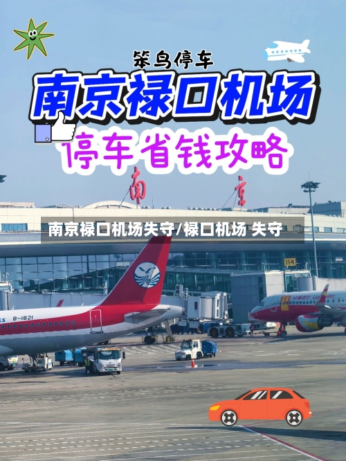 南京禄口机场失守/禄口机场 失守-第3张图片