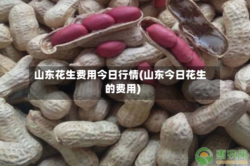 山东花生费用今日行情(山东今日花生的费用)