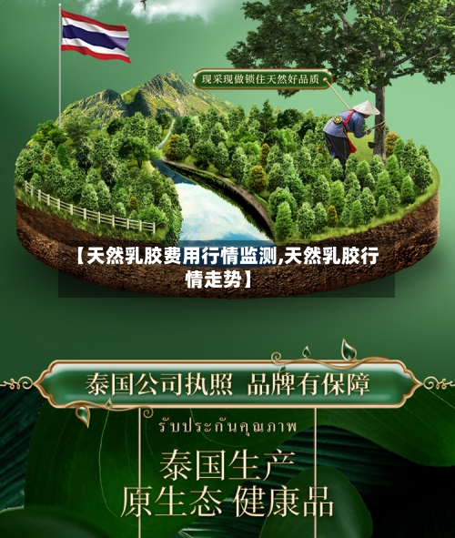 【天然乳胶费用行情监测,天然乳胶行情走势】-第2张图片