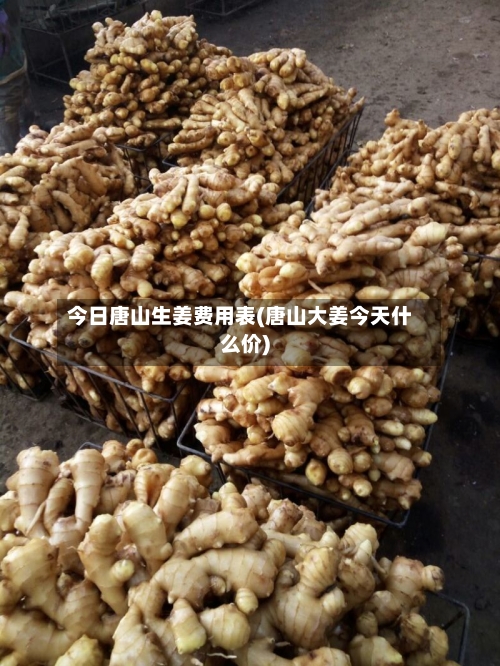 今日唐山生姜费用表(唐山大姜今天什么价)