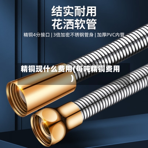 精铜现什么费用(每吨精铜费用)-第2张图片