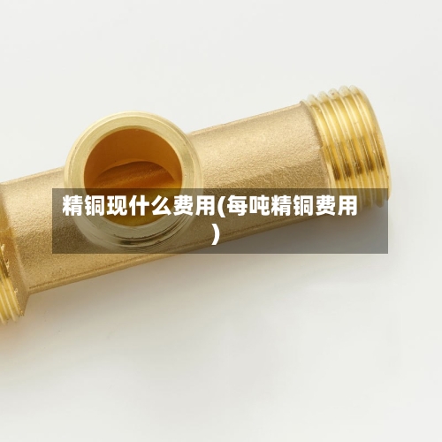 精铜现什么费用(每吨精铜费用)-第3张图片