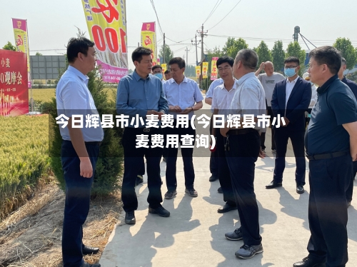 今日辉县市小麦费用(今日辉县市小麦费用查询)-第3张图片