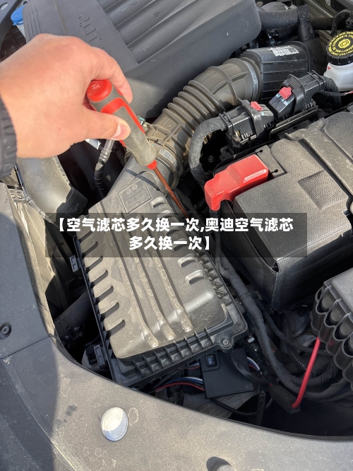 【空气滤芯多久换一次,奥迪空气滤芯多久换一次】-第3张图片