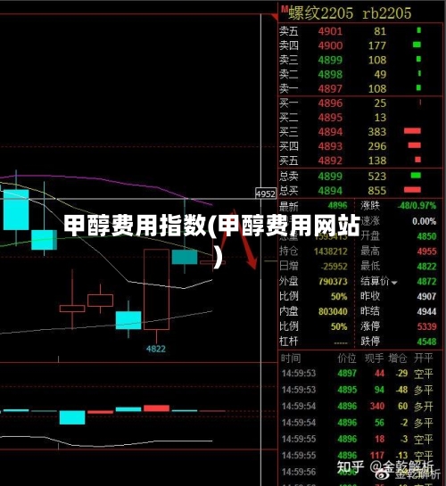 甲醇费用指数(甲醇费用网站)