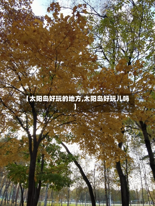 【太阳岛好玩的地方,太阳岛好玩儿吗】