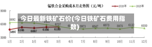 今日最新铁矿石价(今日铁矿石费用指数)