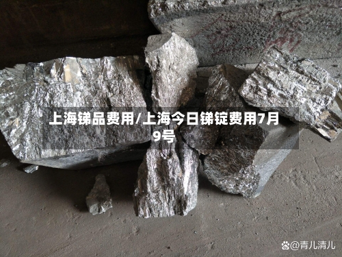 上海锑品费用/上海今日锑锭费用7月9号-第2张图片