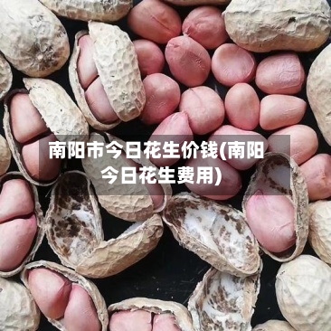 南阳市今日花生价钱(南阳今日花生费用)-第2张图片