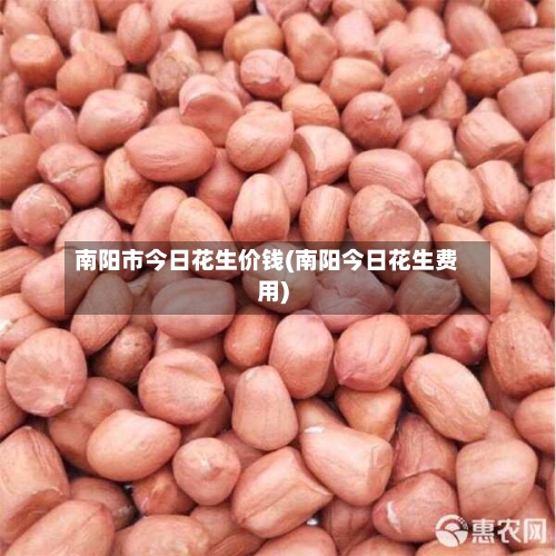 南阳市今日花生价钱(南阳今日花生费用)