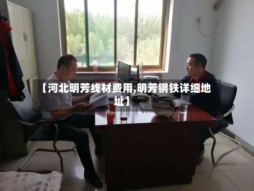 【河北明芳线材费用,明芳钢铁详细地址】