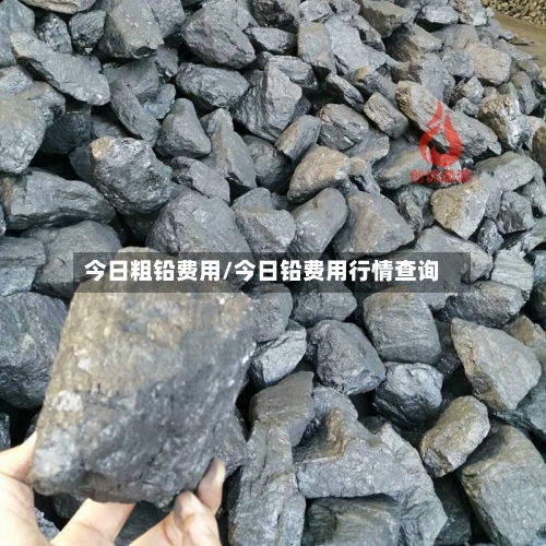 今日粗铅费用/今日铅费用行情查询-第2张图片
