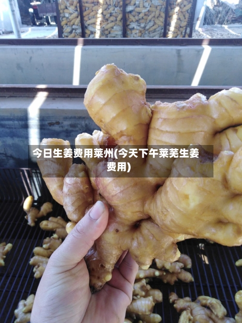 今日生姜费用莱州(今天下午莱芜生姜费用)
