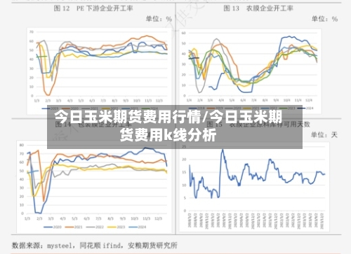 今日玉米期货费用行情/今日玉米期货费用k线分析