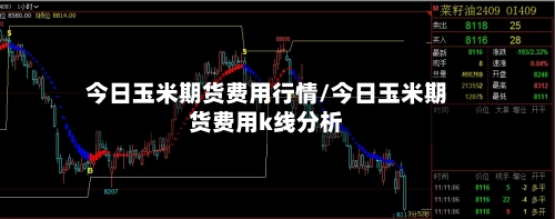 今日玉米期货费用行情/今日玉米期货费用k线分析-第2张图片