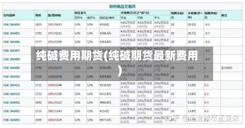 纯碱费用期货(纯碱期货最新费用)