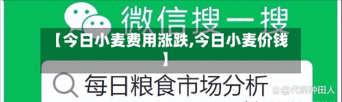 【今日小麦费用涨跌,今日小麦价钱】