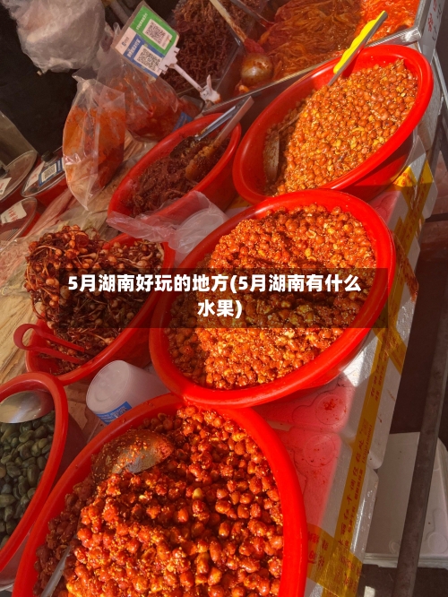 5月湖南好玩的地方(5月湖南有什么水果)-第2张图片