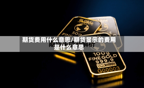期货费用什么意思/期货显示的费用是什么意思-第2张图片