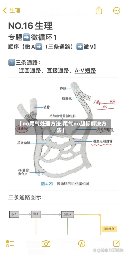 【no尾气处理方法,尾气no超标解决方法】