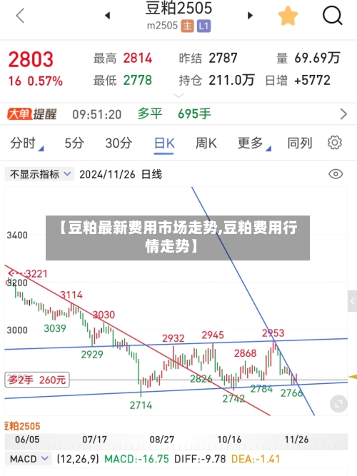 【豆粕最新费用市场走势,豆粕费用行情走势】-第2张图片