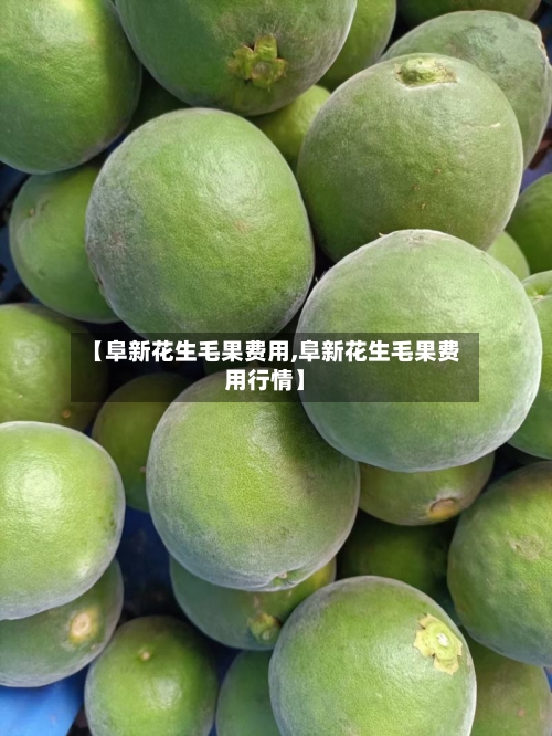 【阜新花生毛果费用,阜新花生毛果费用行情】-第2张图片